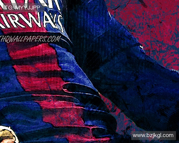 这转会费刷新荷甲纪录